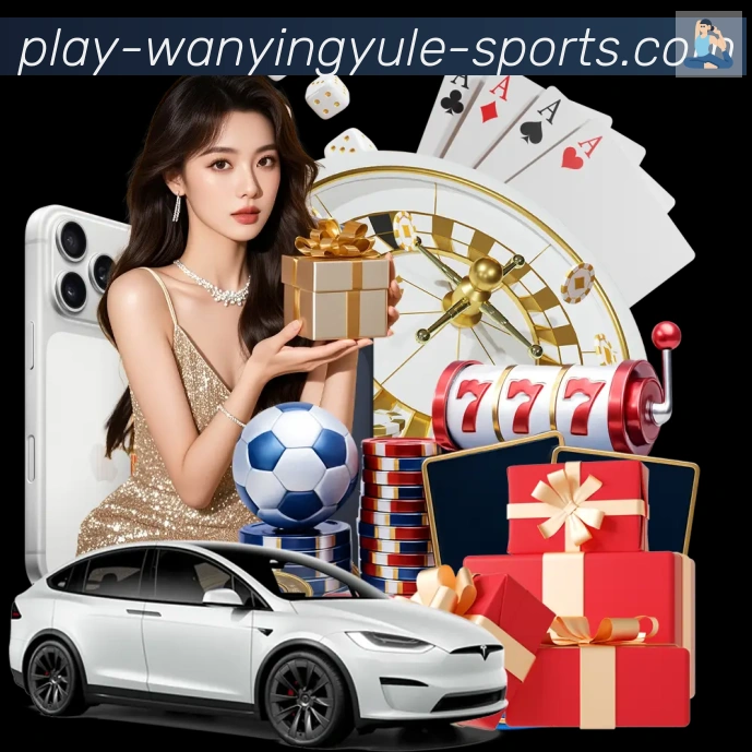 未来规划